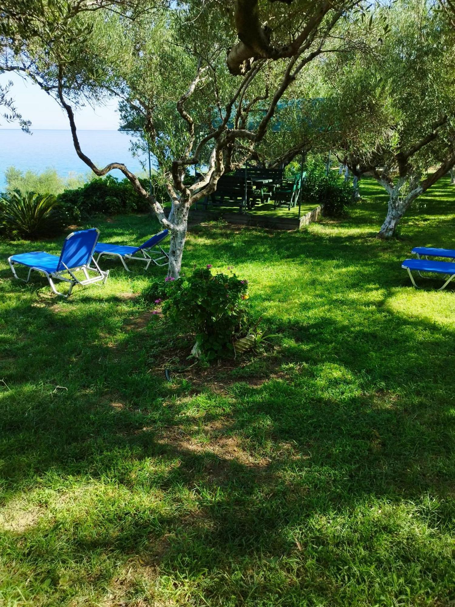 Villa Agia Aikaterini アモウディ エクステリア 写真