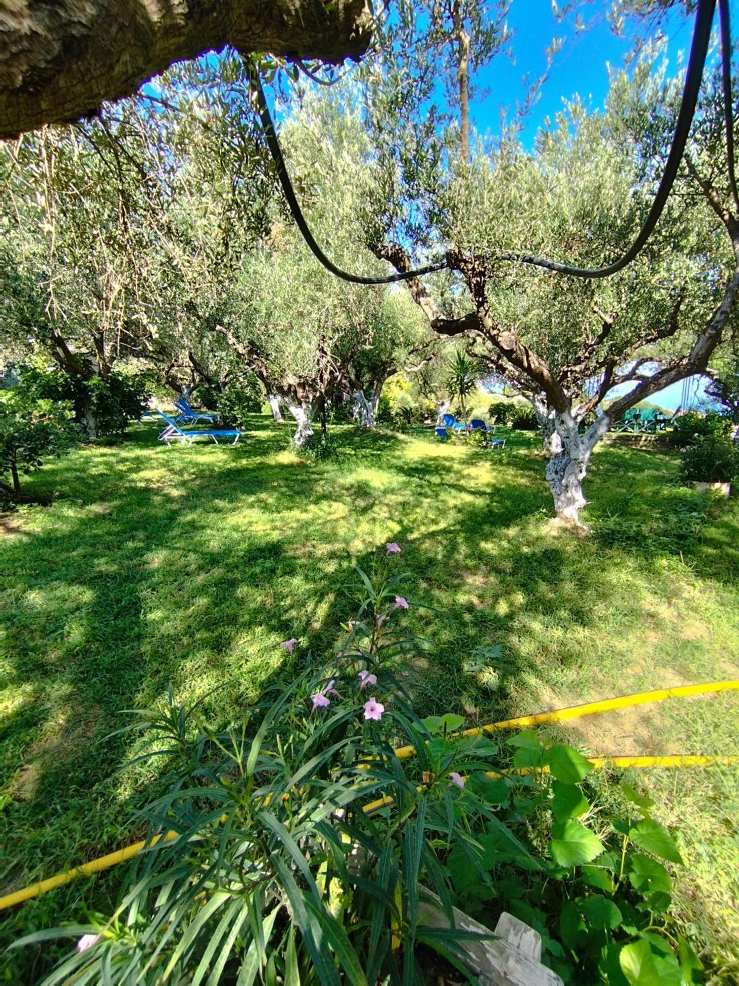 Villa Agia Aikaterini アモウディ エクステリア 写真