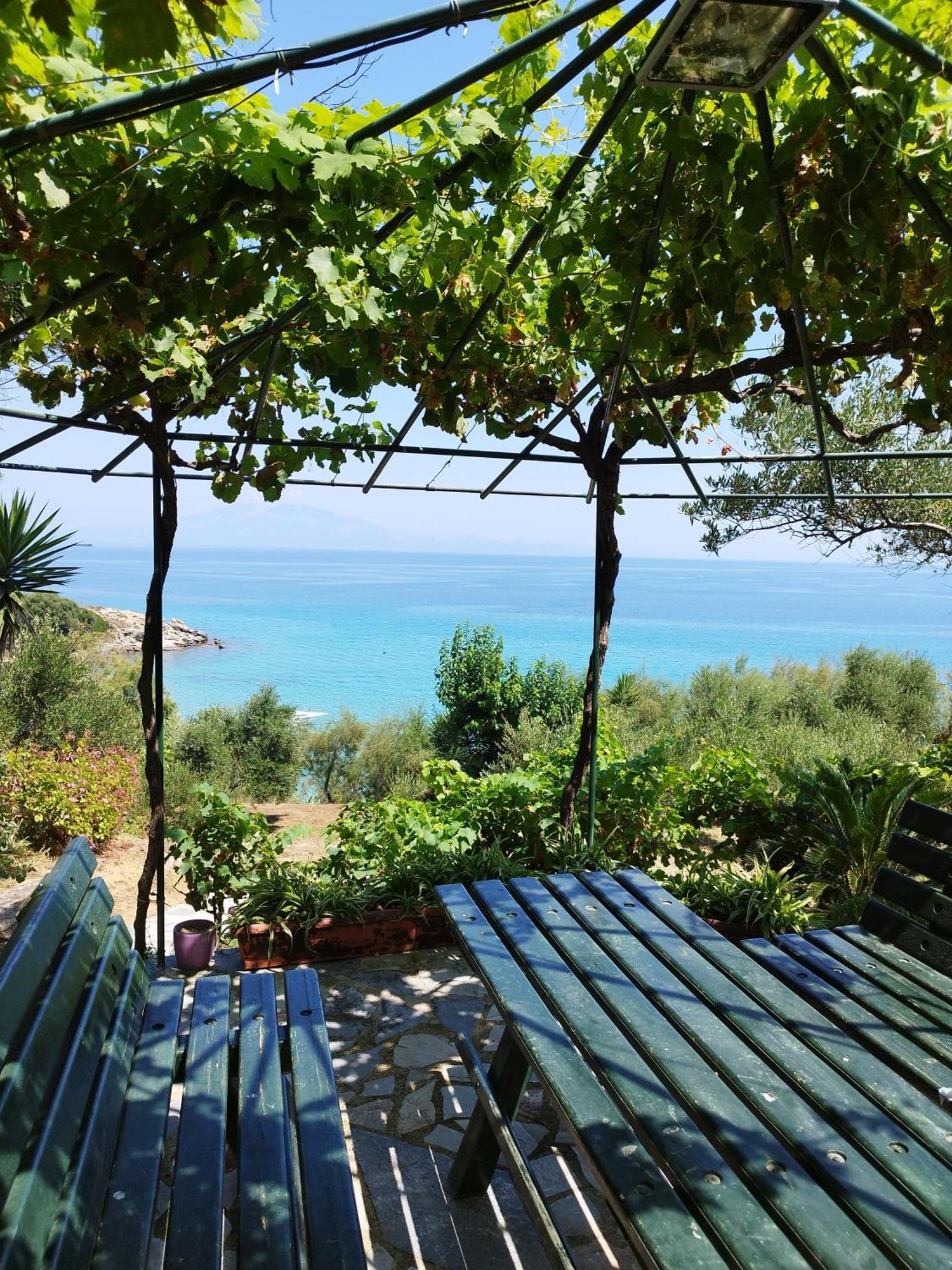 Villa Agia Aikaterini アモウディ エクステリア 写真