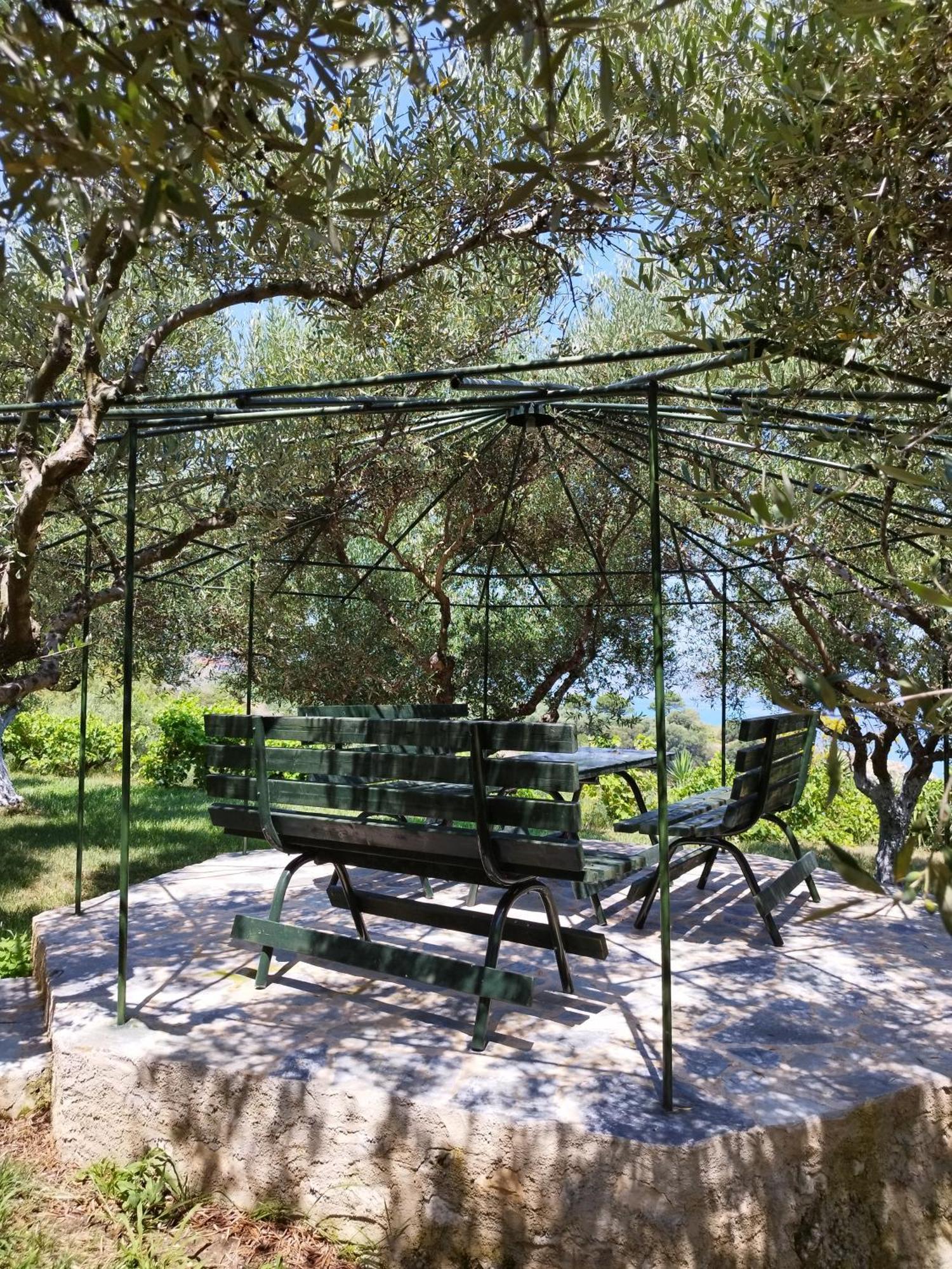 Villa Agia Aikaterini アモウディ エクステリア 写真