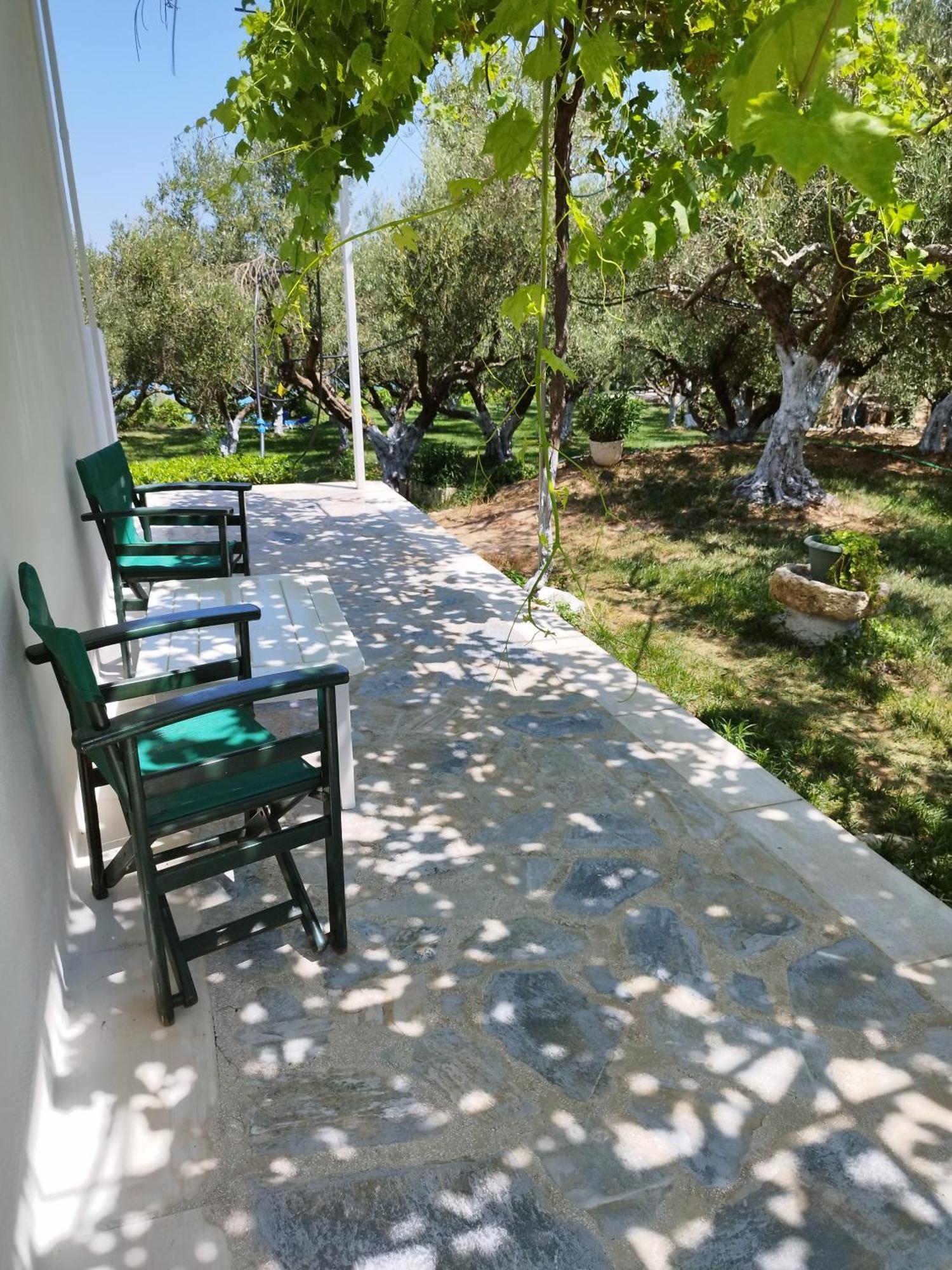 Villa Agia Aikaterini アモウディ エクステリア 写真