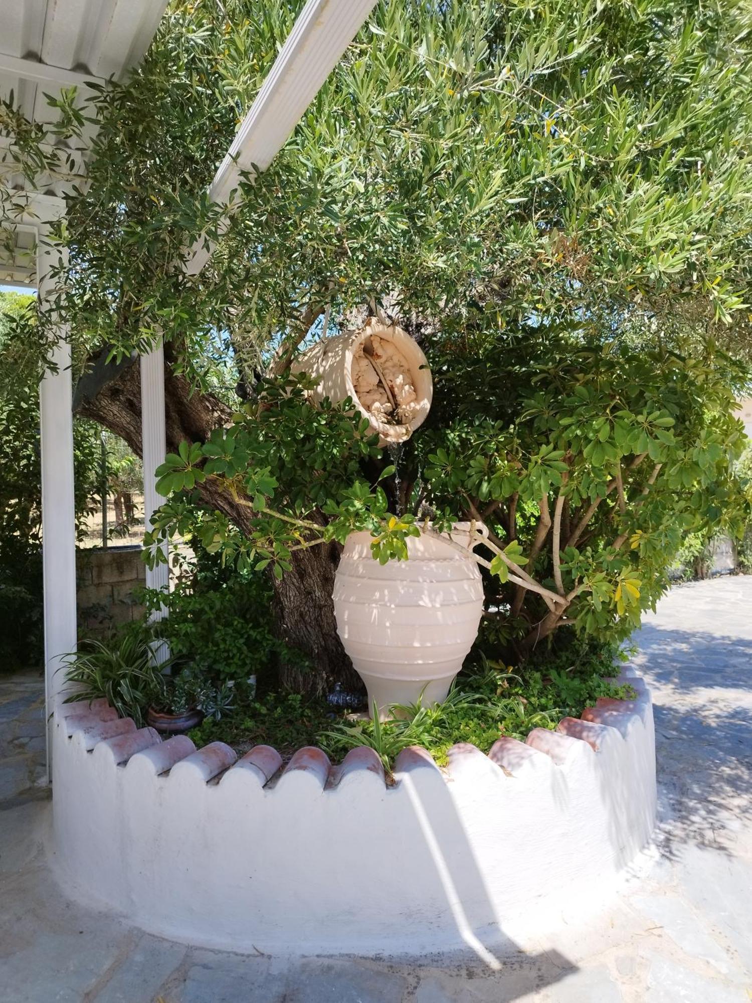 Villa Agia Aikaterini アモウディ エクステリア 写真